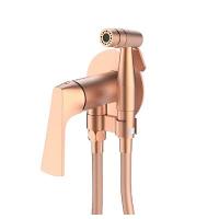 Смеситель Raglo встраиваемый с гигиеническим душем R07.52.33